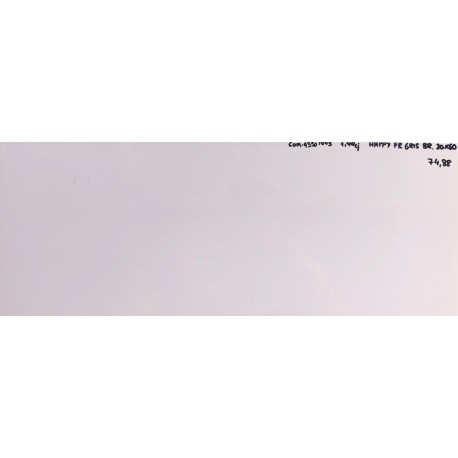 HAPPY FR GRIS BRILLO 20x60cm, COM
