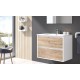 MUEBLE DE BAÑO SUSPENDIDO ETNA 60cm. DE 2 CAJONES + LAVABO + ESPEJO 