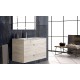 BATHROOM HUNG FURNITURE WITH TWO DRAWERS AND MIRROR, 60CM