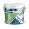 Pumacril Profesional Interior/Exterior 