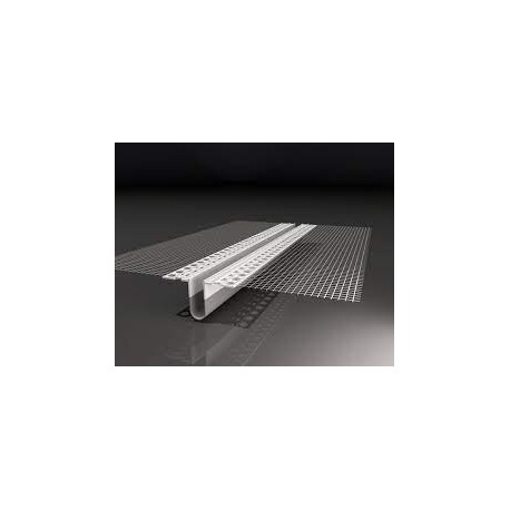 DILATATION MEETING + MESH