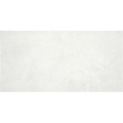 TALENT PEARL LIGHT MATE 25X50, STD
