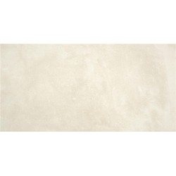 TALENT BEIGE LIGHT MATE 25X50cm STD. 