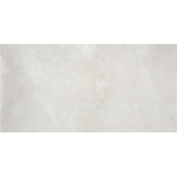 TALENT CEMENTO LIGHT MATE 25X50cm STD. 