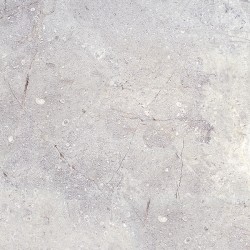 CARRARA NEGRO BRILLO 45x45cm, STD