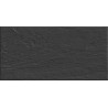 PIZARRA NEGRO MATE 30x60cm, COM