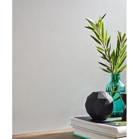 P.E. PHASE WHITE MT 60X120 RECT.