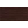 LUMEN COFFE GLOSS 25x50cm STD