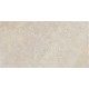 P.E. NUANCES IVORY MATE RECT. 30X60cm, STD