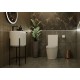 BECA MATTE WHITE TOILET.
