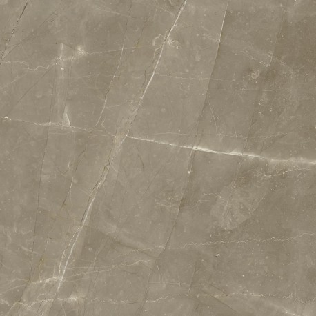 PANDORA TAUPE MATE 45x45cm