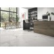 CALACATTA1 BLANCO MATE 60x120cm, COM