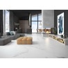CALACATTA1 BLANCO MATE 60x120cm, COM
