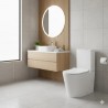 Negarra Essence Dual-Outlet Toilet
