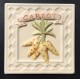 AZULEJO DECORATIVO  ZANAHORIA BONE MATE 15x15cm.