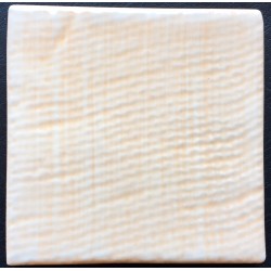 SHINY AFRICA 10x10cm. STD