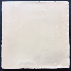 MANUAL SALMON  MATE 15x15cm. STD