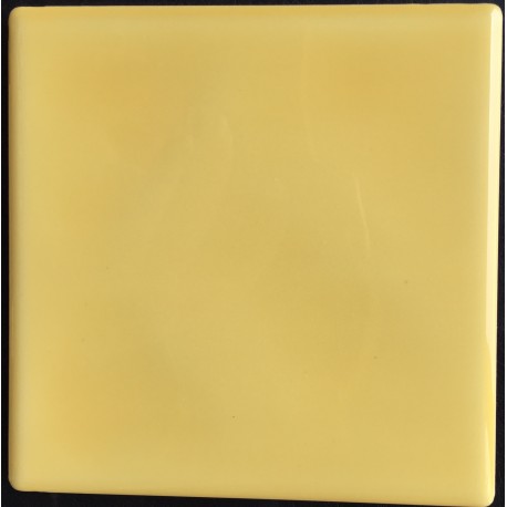 FONDO POMELO 15x15cm. STD
