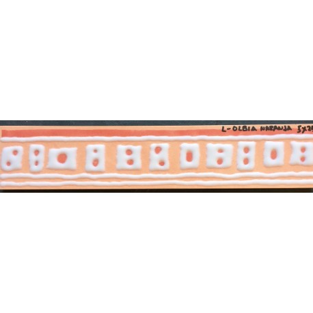 L-OLBIA NARANJA 5x25cm