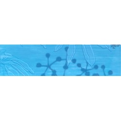 D. ORGANIC MARE 16.4x60m. COM