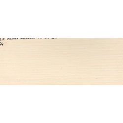 MONACO ABELLANA MATE 20x50cm ECO