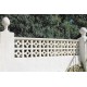 WHITE CELOSIA TREBOL 25x25